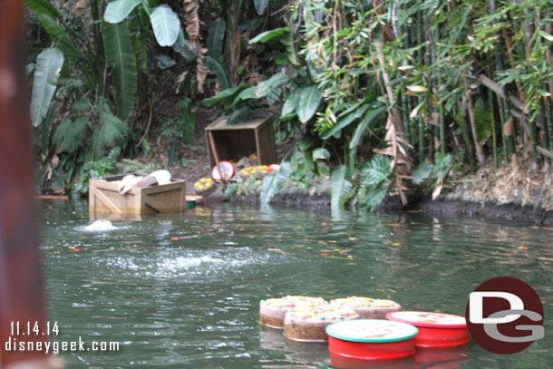 More fruitcakes, this time in the hippo pool.