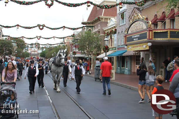 A new horse learning the ropes today on Main Street.