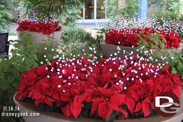 Lights and plants for the holidays at the entrance to the Disneyland Hotel