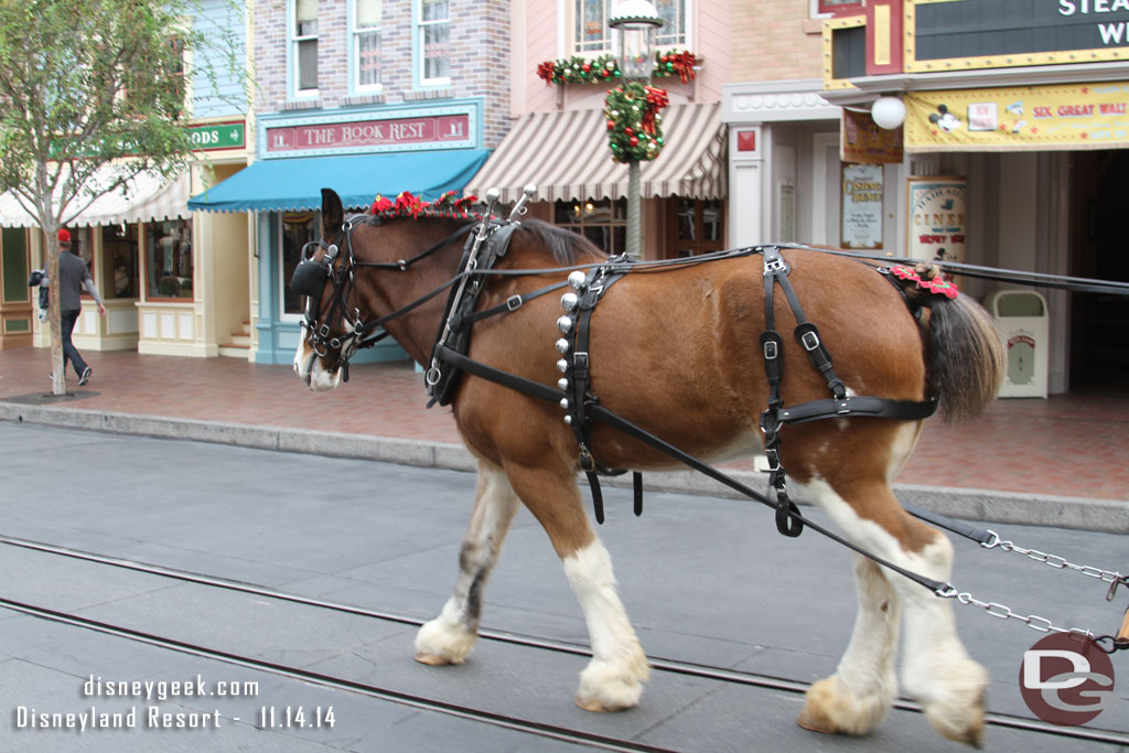 Jingle Bells on the horses for the season.