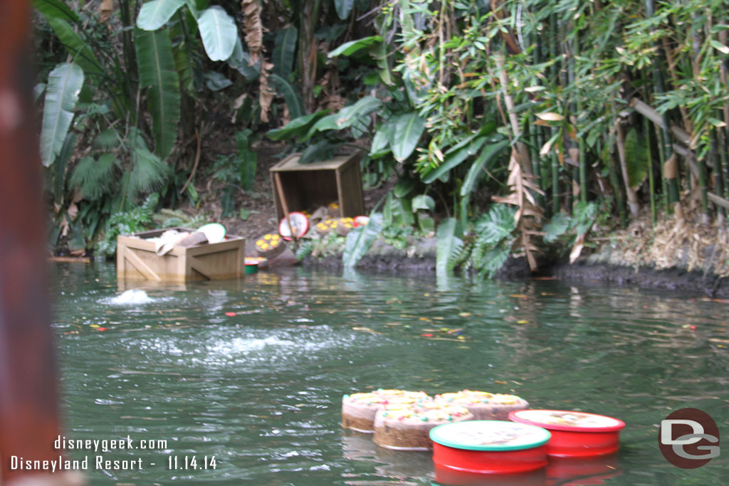 More fruitcakes, this time in the hippo pool.