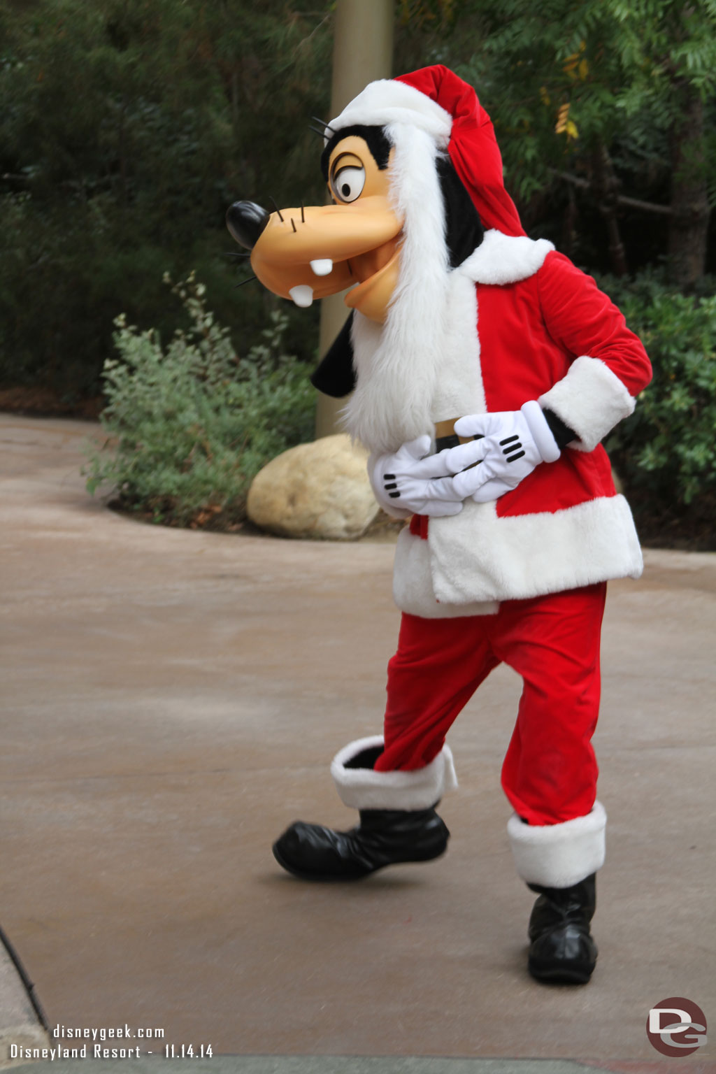 Santa Goofy was out walking around and taking pictures with guests.