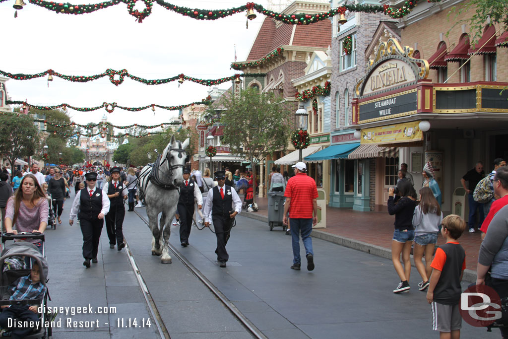 A new horse learning the ropes today on Main Street.