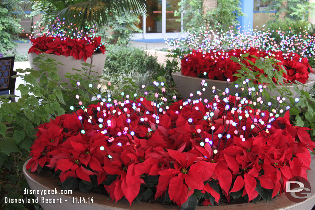 Lights and plants for the holidays at the entrance to the Disneyland Hotel