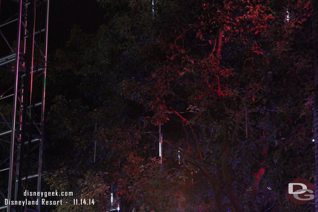 Ice lights have returned to the trees at the Mad T Party.