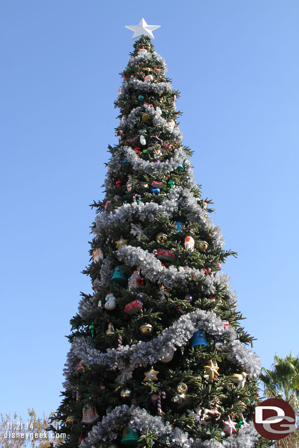 The Buena Vista Street Tree