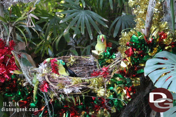 The birds were helping to decorate.