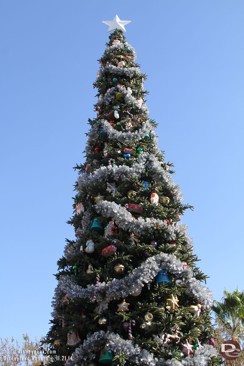 The Buena Vista Street Tree