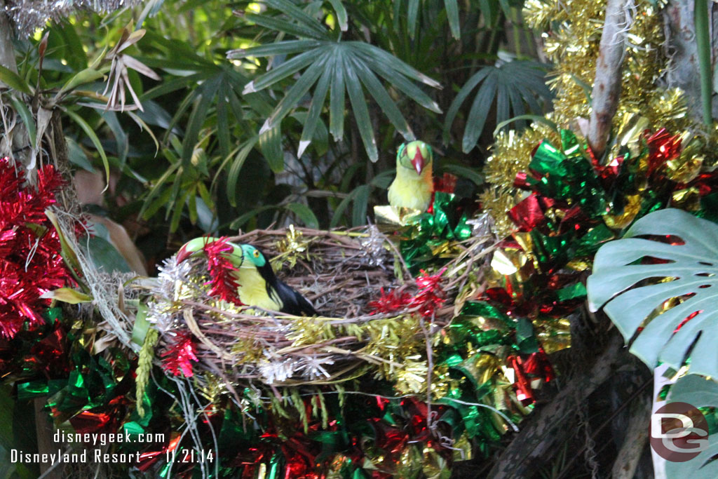 The birds were helping to decorate.