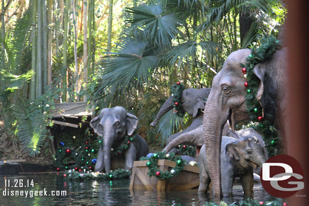 Approaching the elephant bathing pool