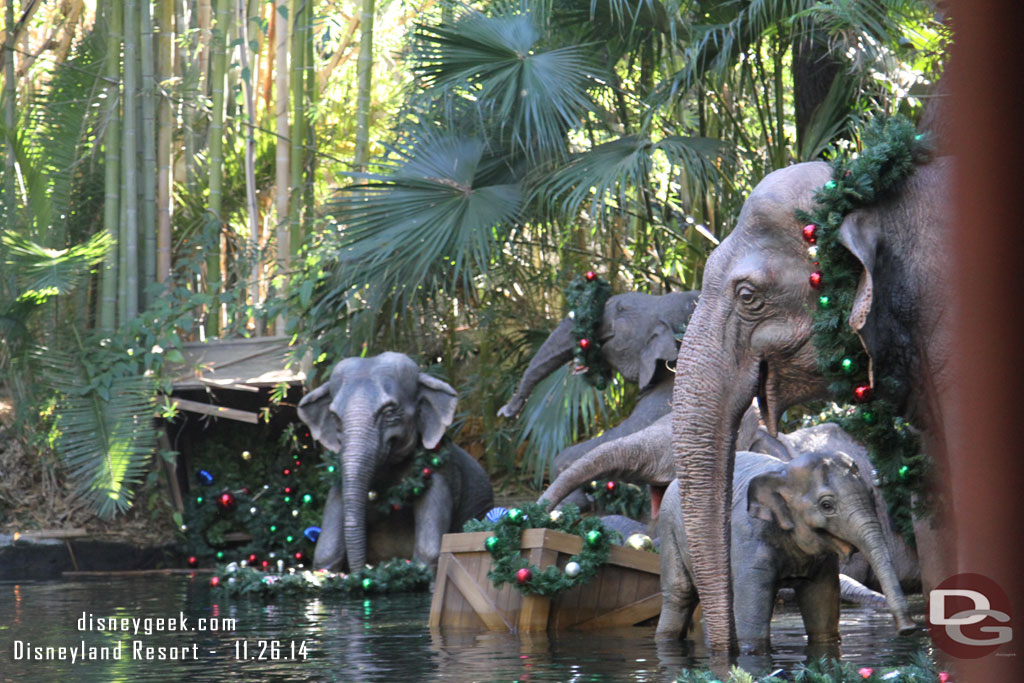 Approaching the elephant bathing pool