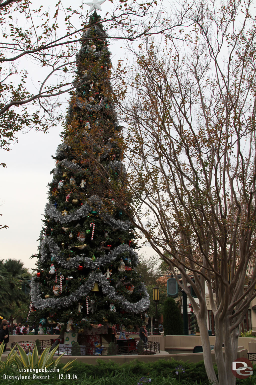 The Buena Vista Street Christmas Tree