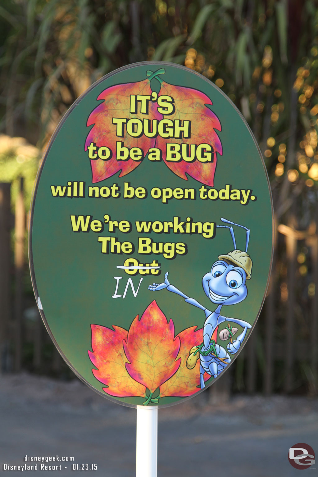 The Bugs Theater is closed for refurbishment too.  So right now there are no 3D films with all three theaters closed or re-purposed.  No word yet on what is going on with Bugs or Magic Eye but best bet is more film previews are coming.  I would like to see something for the 60th.