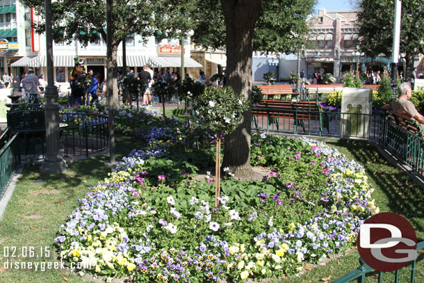 Spring flowers in Town Square