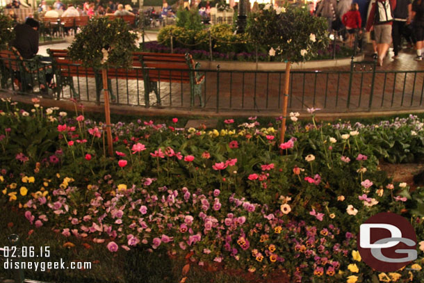 Town Square plants.