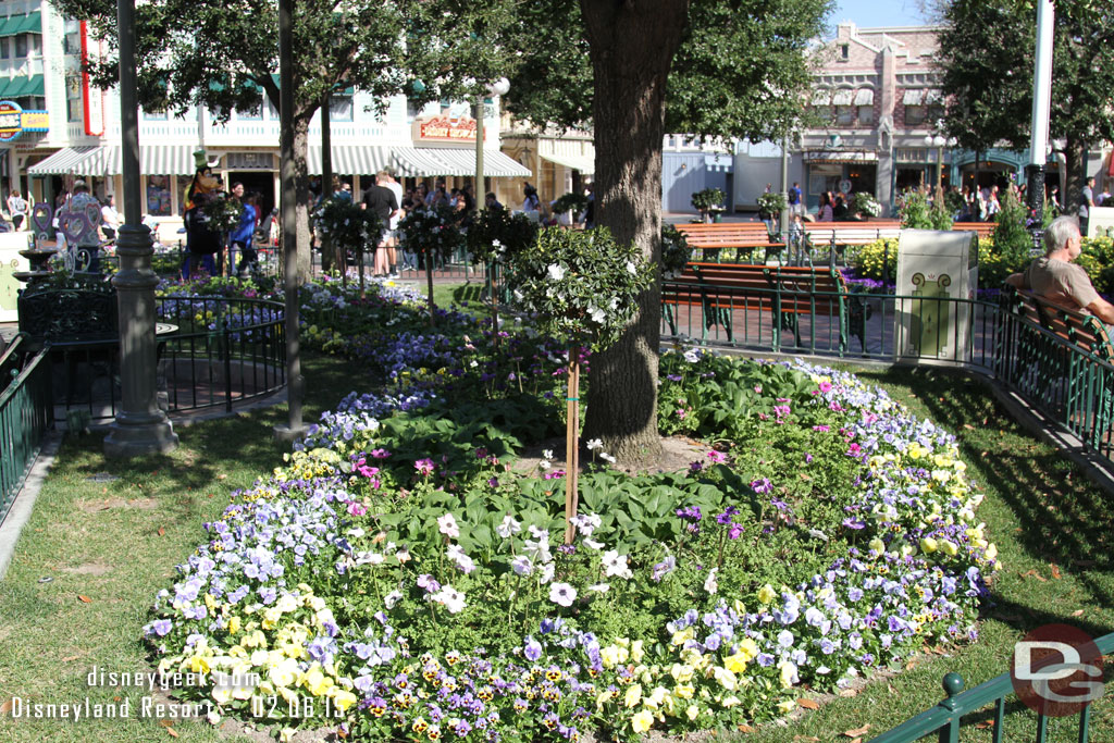 Spring flowers in Town Square