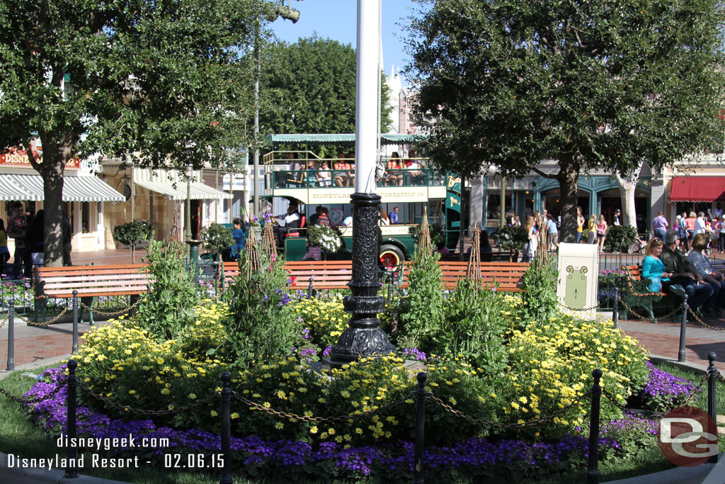 Quite a bit of vegetation around the flag pole