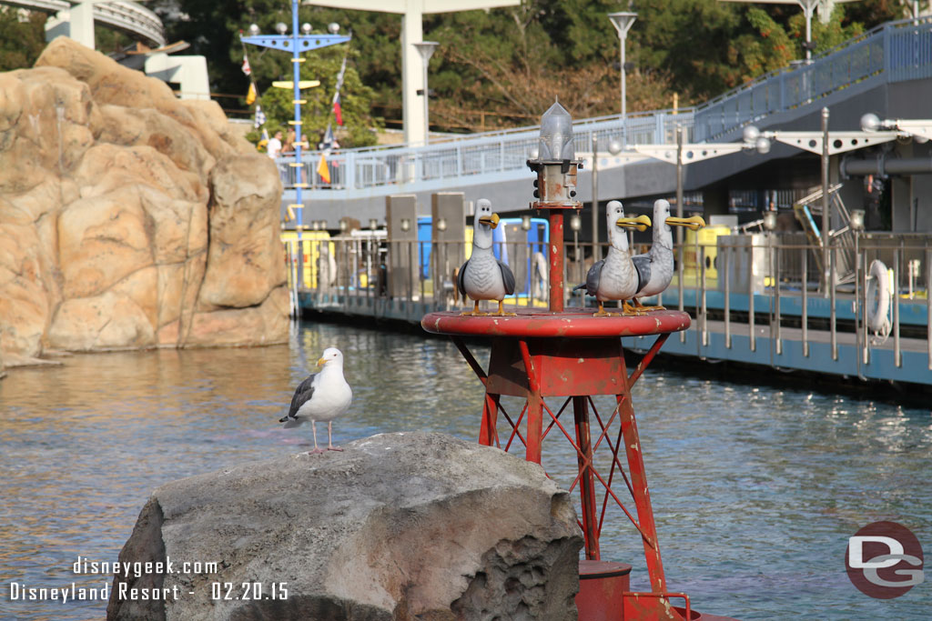 A real sea gull  hanging out with the Disney ones.