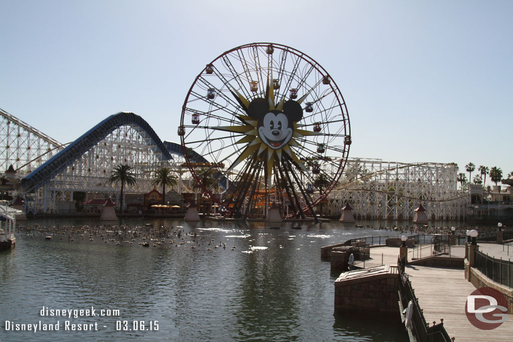 Water has returned to Paradise Bay since my last trip.  World of Color returns next Friday.