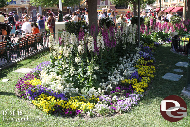 Over to Disneyland.  Spring has sprung in Town Square.