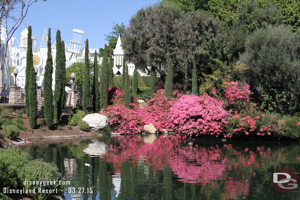 Fantasyland is in bloom