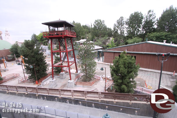 Several trees in the area now too look great.   Looks like they are ready to pour the concrete for the primary walkway.