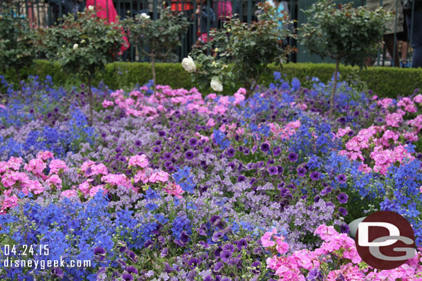 Some flowers near Casey Jr.