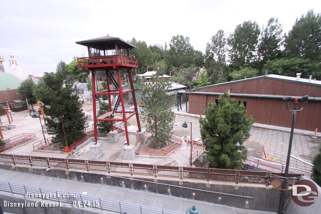 Several trees in the area now too look great.   Looks like they are ready to pour the concrete for the primary walkway.