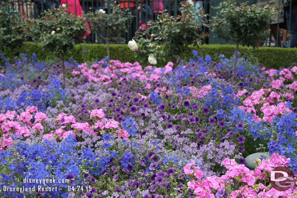 Some flowers near Casey Jr.