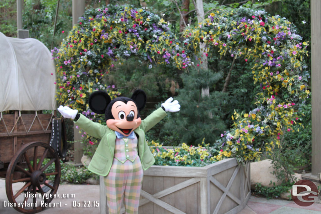 Mickey greeting guests at the roundup.