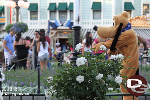 Pluto showed up in Town Square.