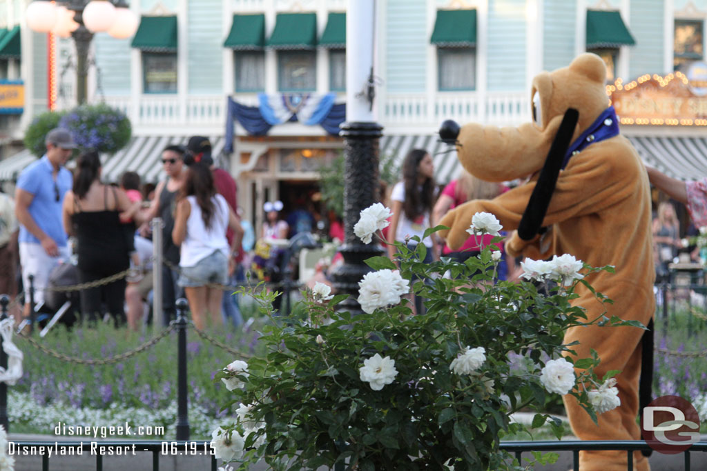 Pluto showed up in Town Square.