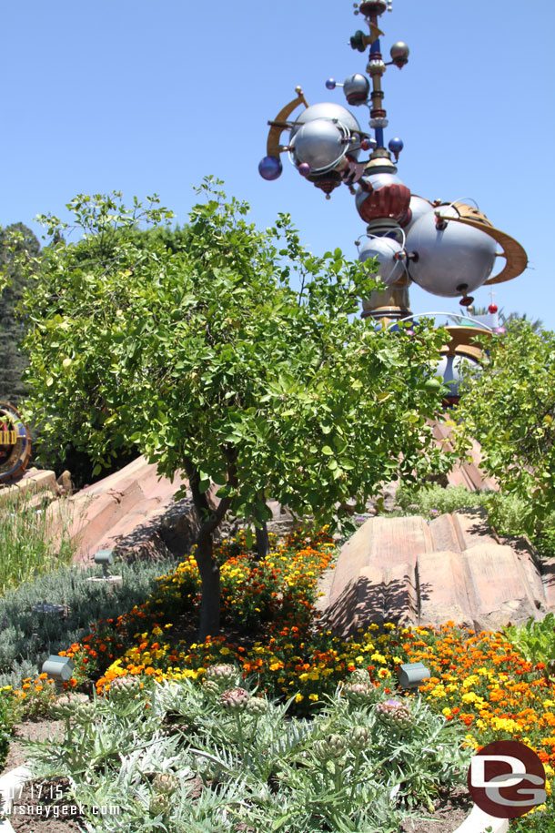 After lunch passing by the Tomorrowland entrance