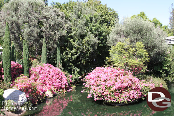 A lot in bloom in Fantasyland/Tomorrowland.