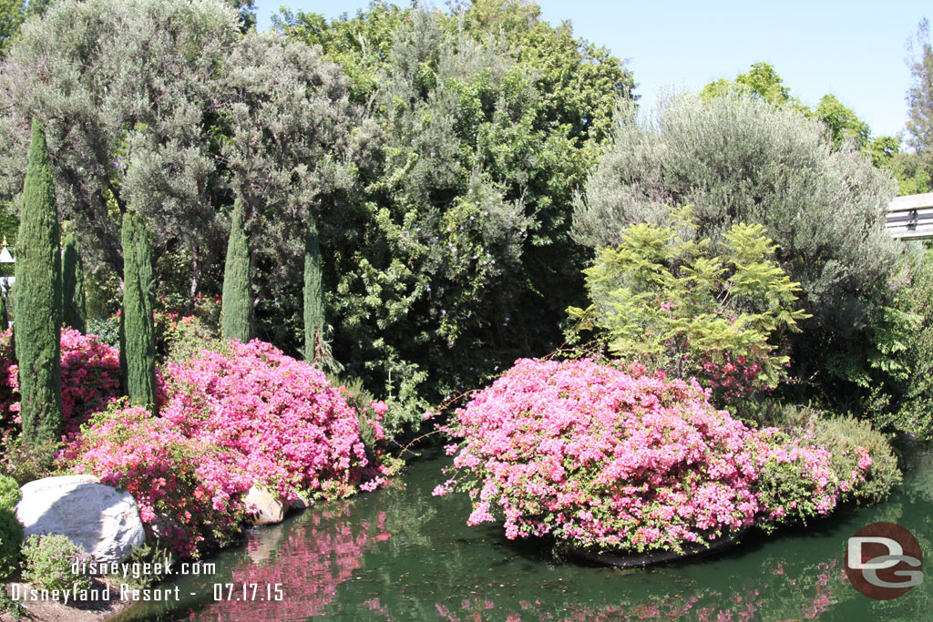 A lot in bloom in Fantasyland/Tomorrowland.