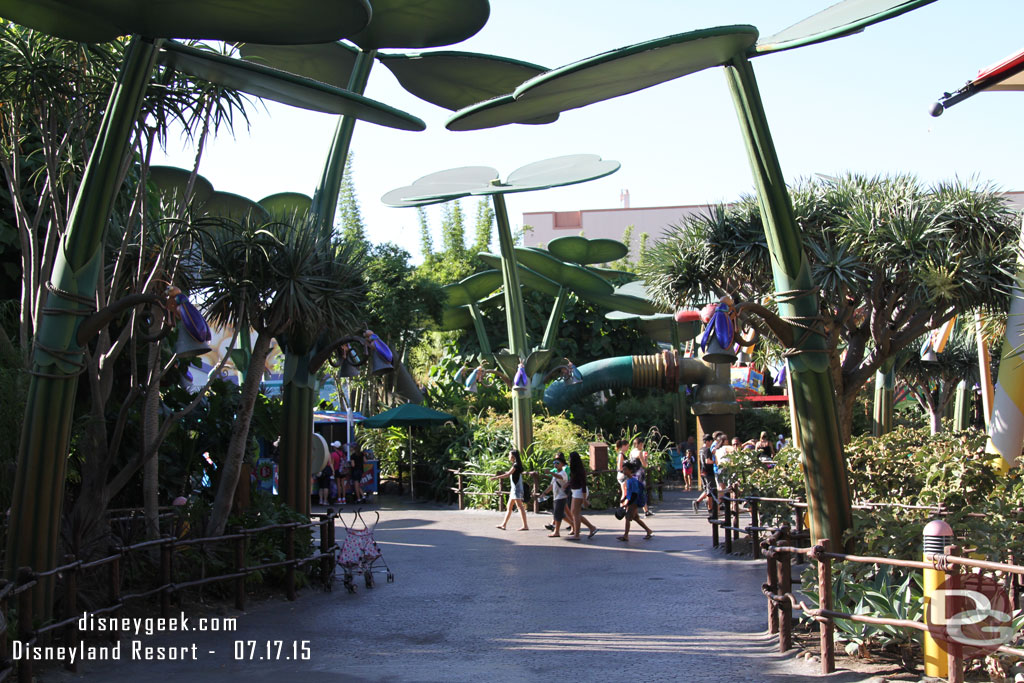 Stopped by Bugs Land again just to ensure I was not blind this morning and missed the photo location.