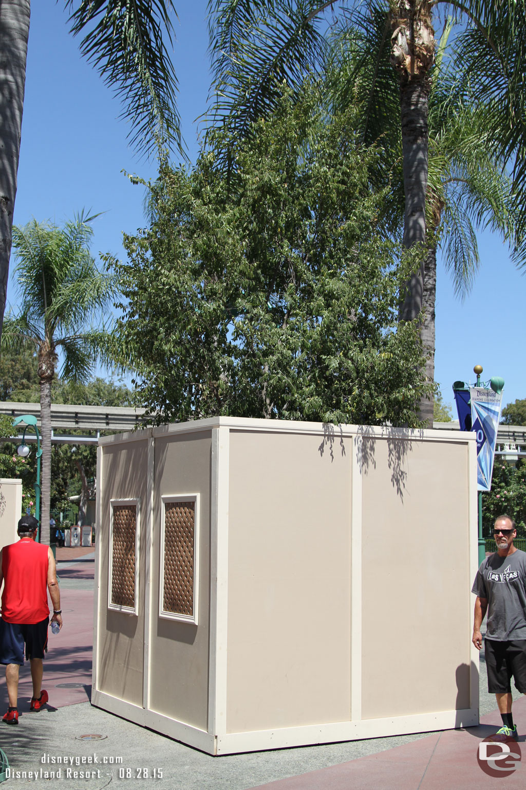 Work is still going on in the Esplanade.  Trees have re-appeared in the boxes.