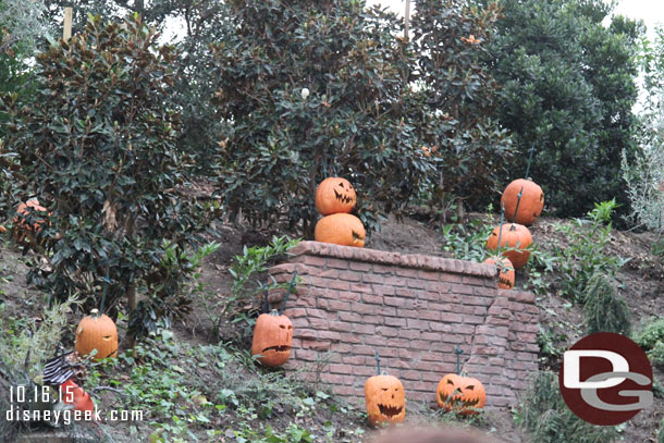 Pumpkins have returned to the hill overlooking the queue.