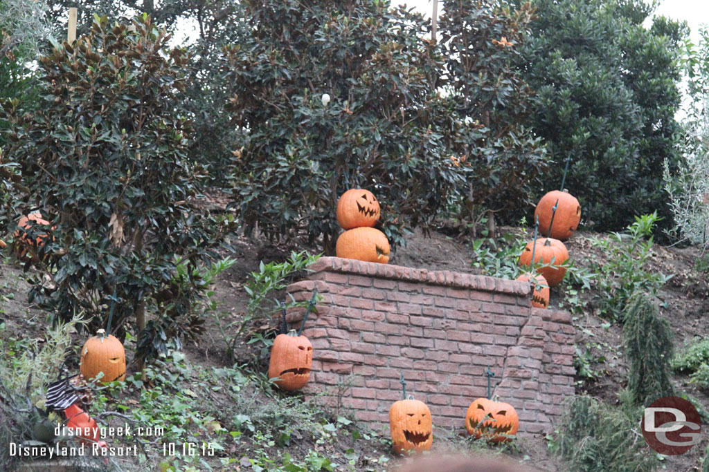 Pumpkins have returned to the hill overlooking the queue.