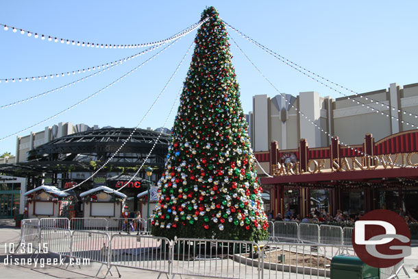 The Christmas tree is up.  