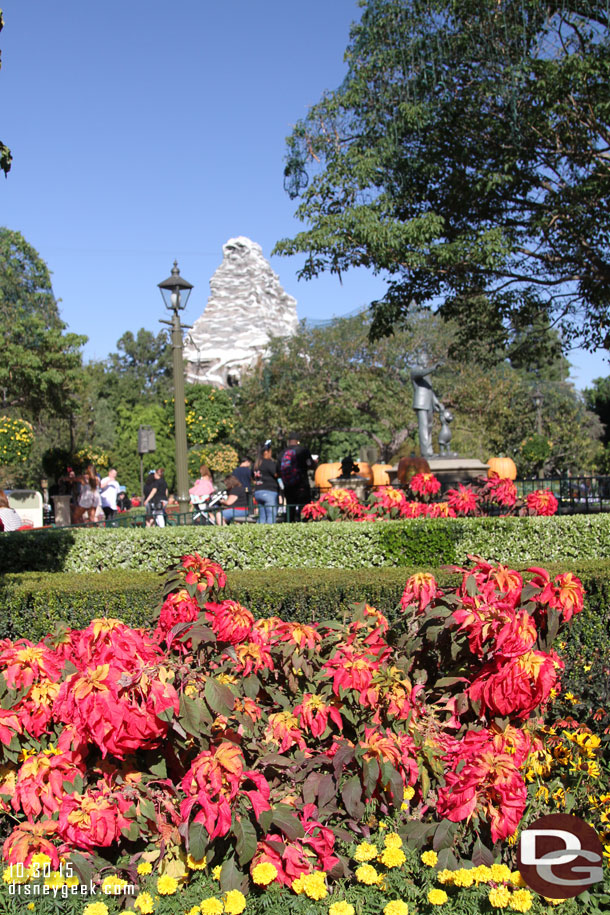 Fall plants in the hub with the Matterhorn in the background.