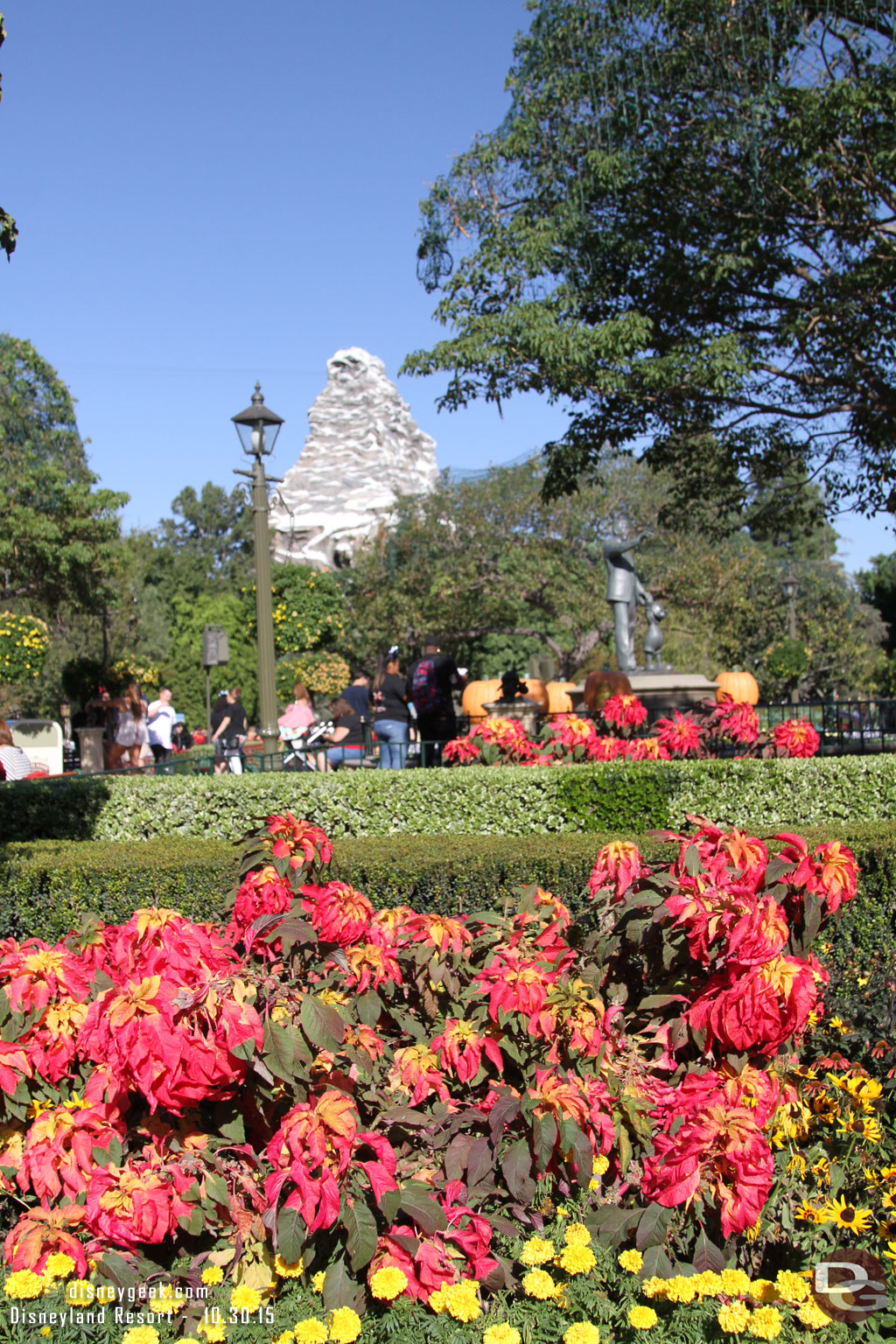 Fall plants in the hub with the Matterhorn in the background.