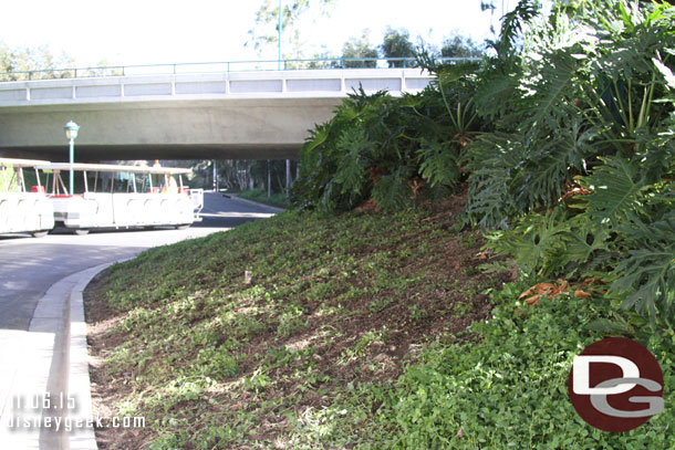 Halloween decorations along the tram route are gone too.