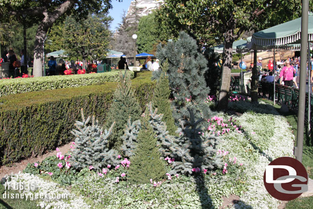 Winter plantings in the hub.