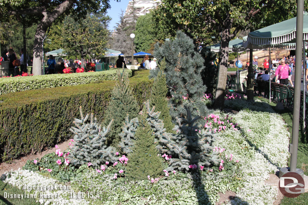 Winter plantings in the hub.