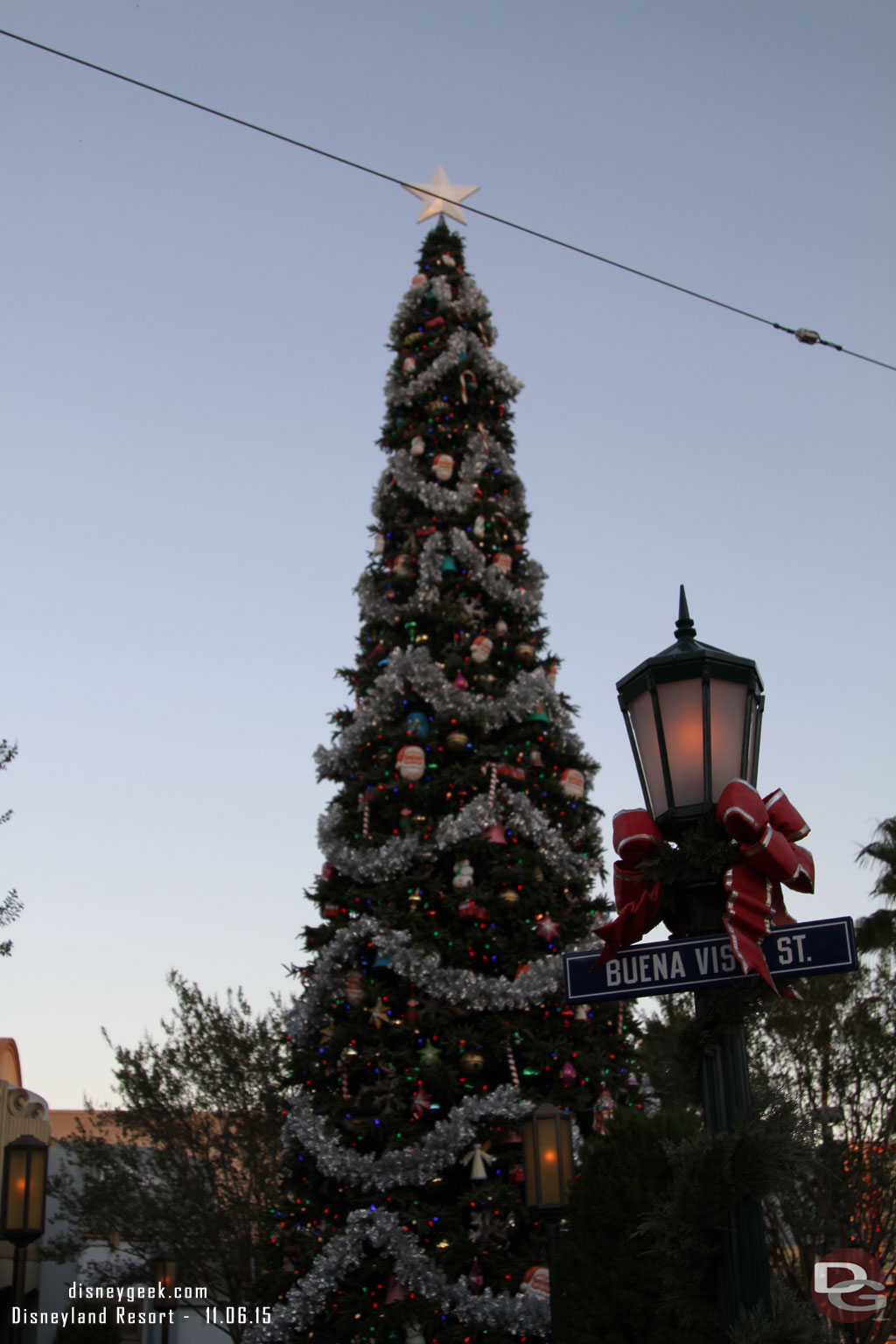 The Buena Vista Street tree.