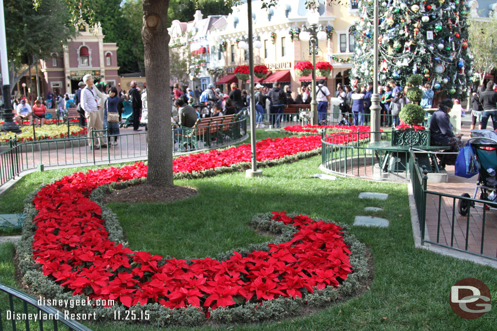 Christmas plantings in Town Square