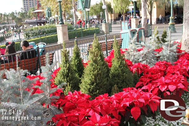 Paradise Pier has plantings for the holiday season.