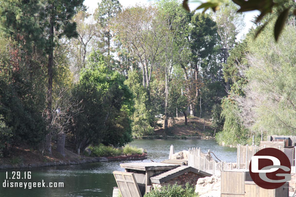 Looking up river you can see some ribbons tied on the trees.