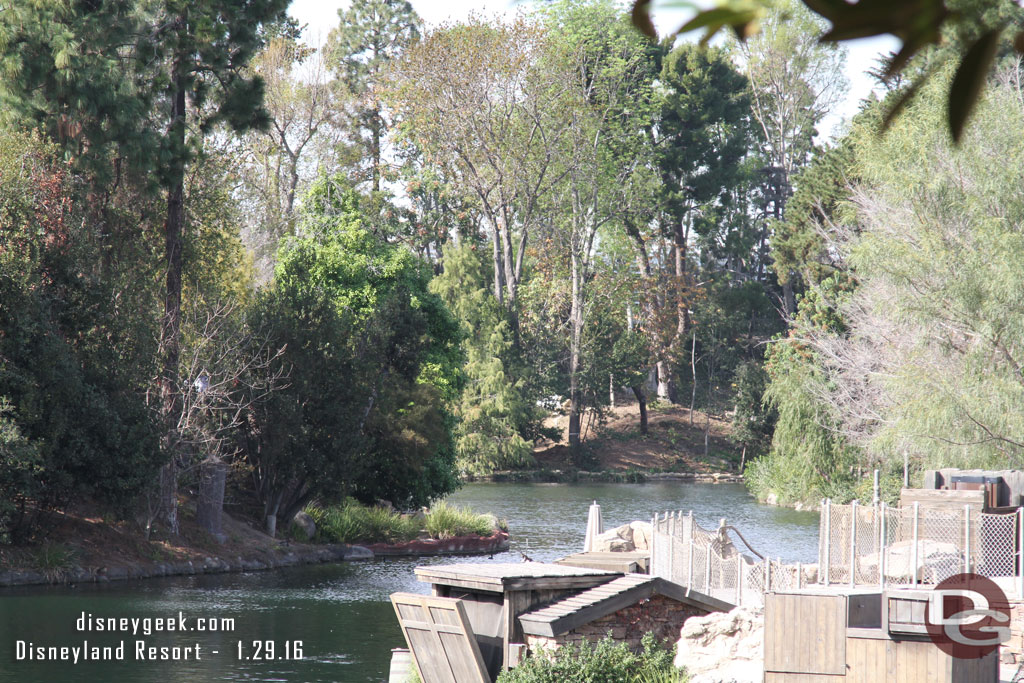 Looking up river you can see some ribbons tied on the trees.